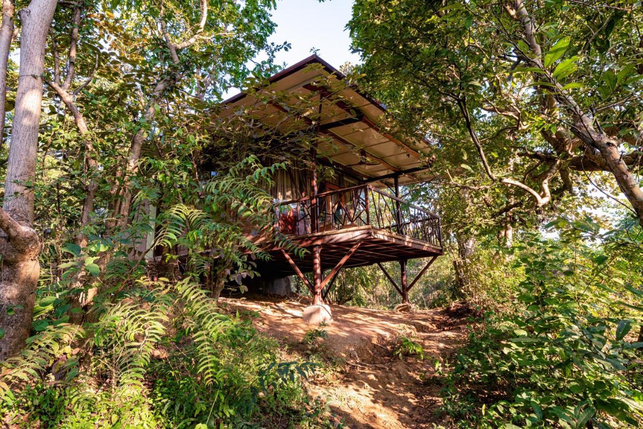 Kanha Jungle Camp Bagian luar foto