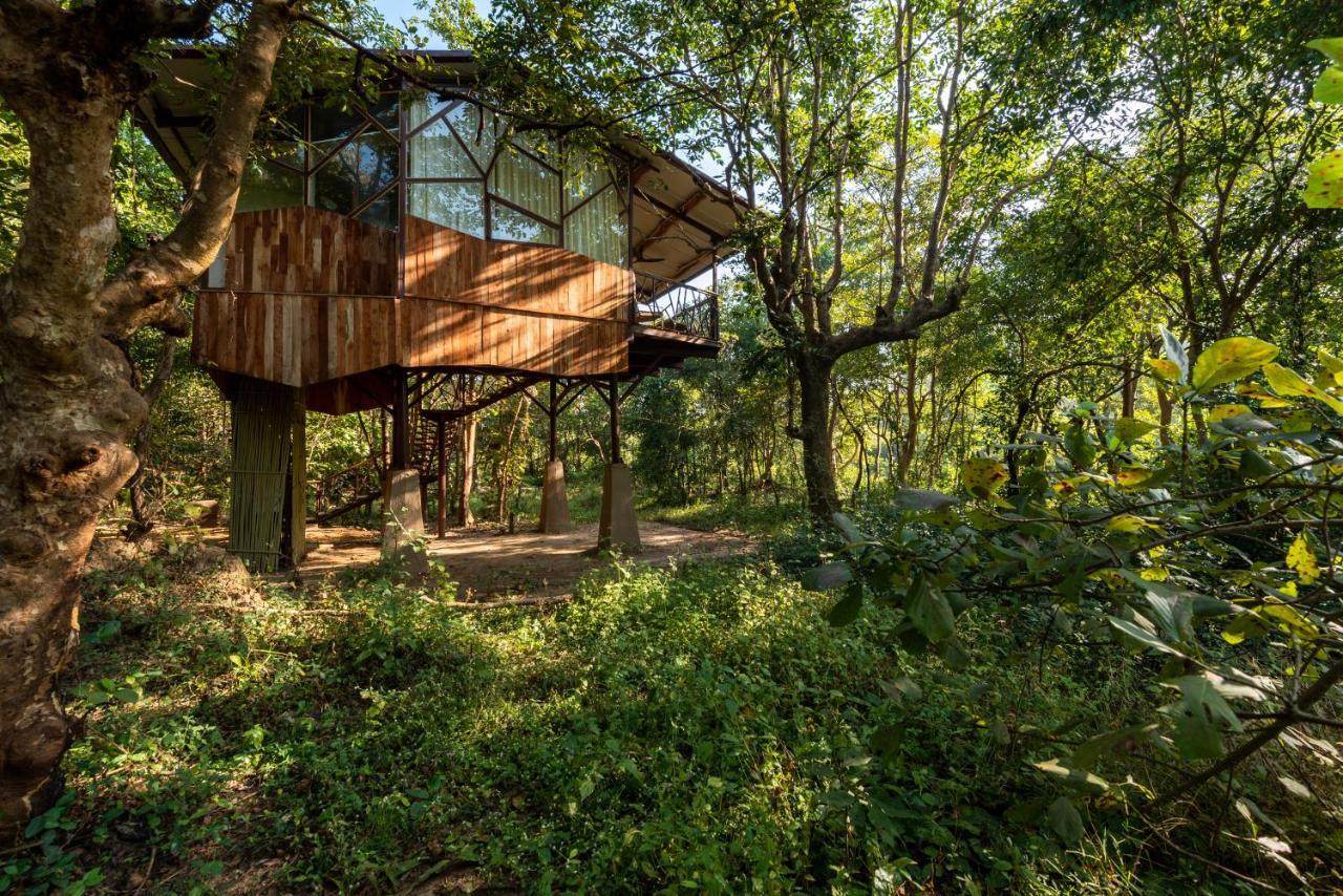 Kanha Jungle Camp Bagian luar foto